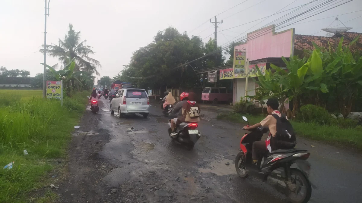 Baru Seumur Jagung, Jalan Tayu-Puncel Kembali Berlubang, Truk Tambang Diduga Jadi Pemicu