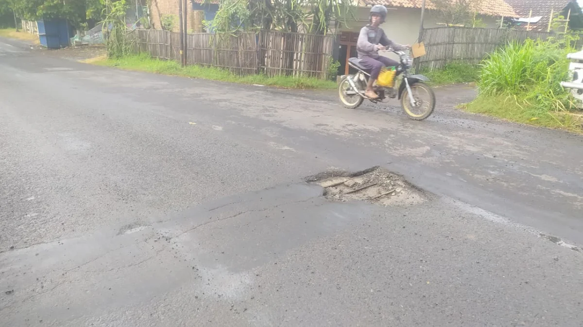 Waspada! Jalur Tayu-Juwana Rusak Parah, Lubang Jalan dan Jembatan Mengancam Pengendara